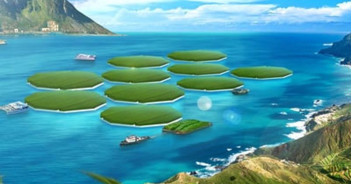 Czy ocean może być kolejną granicą dla rolnictwa roślinnego?