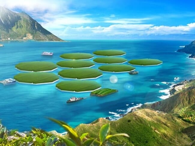 concept ocean rice farm