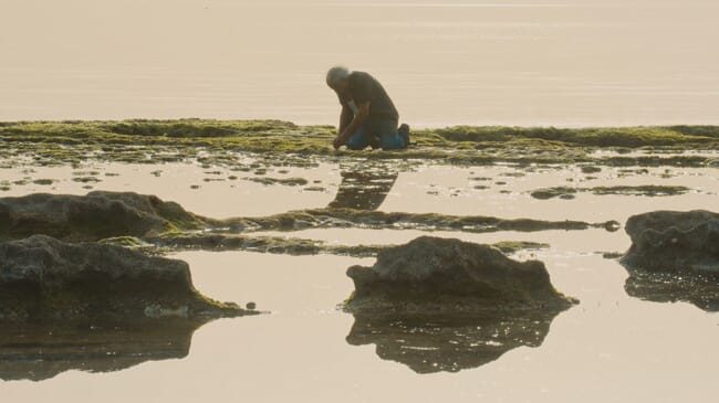 A researcher collecting samples.
