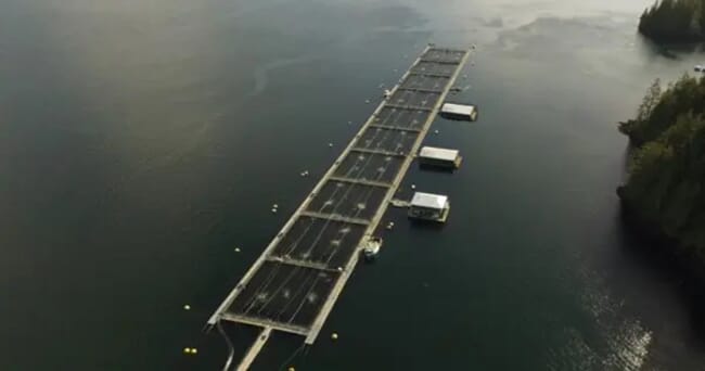 Aerial of salmon farm