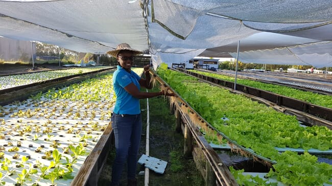 Young woman in a large aquaponics centre