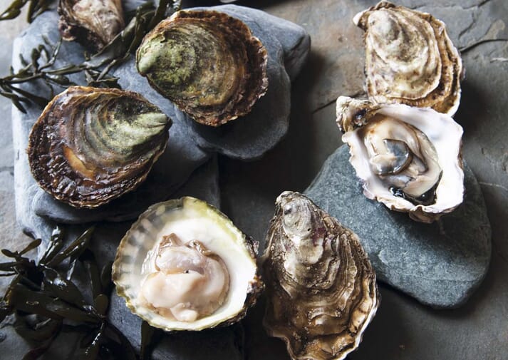 The fortified oysters delivered around 100 times more vitamin A, and over 150 times more vitamin D, than natural oysters