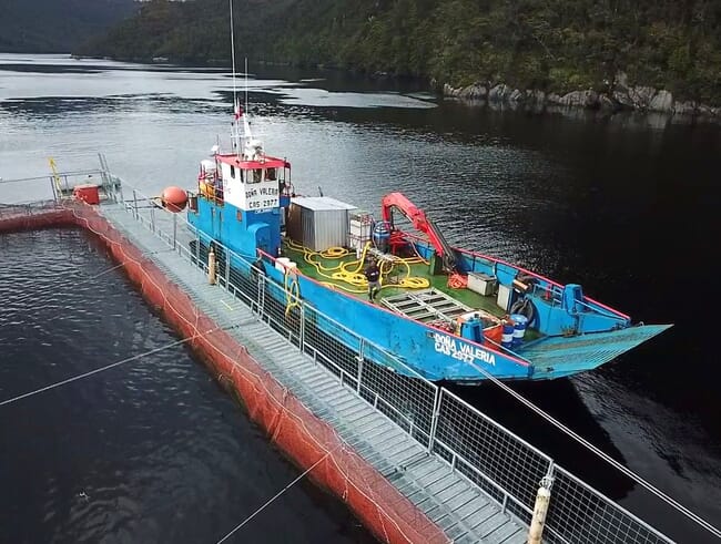 A boat next to square salmon cages in Chile.