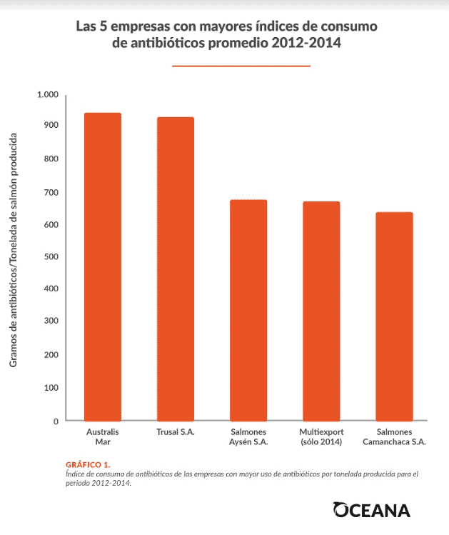 The largest users of antibiotics in Chile's salmon farming industry