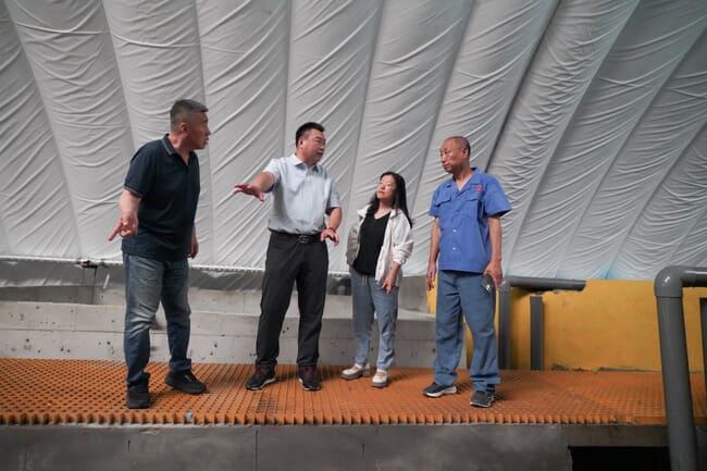 A group of four people having a discussion.