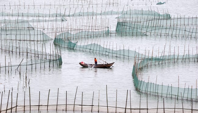 Farm worker in boat next to sea pens