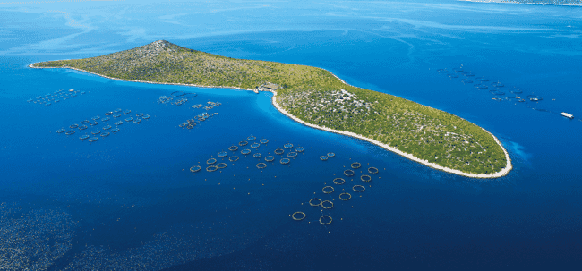 Aerial view of fish farms surrounding a small island