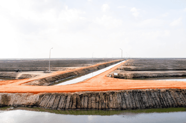 Edge of an aquaculture pond