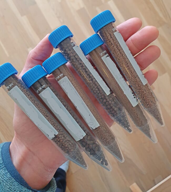 A person holding samples of fish feed in test tubes.