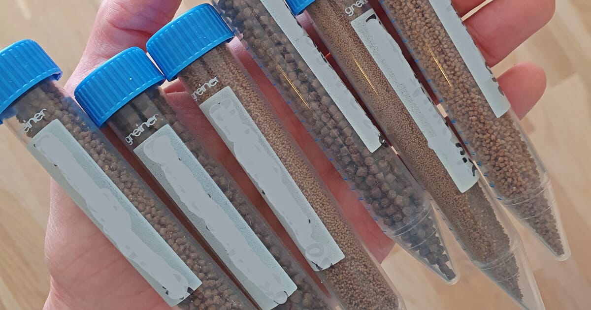 Using DNA to decode fish species in aquafeed | The Fish Site