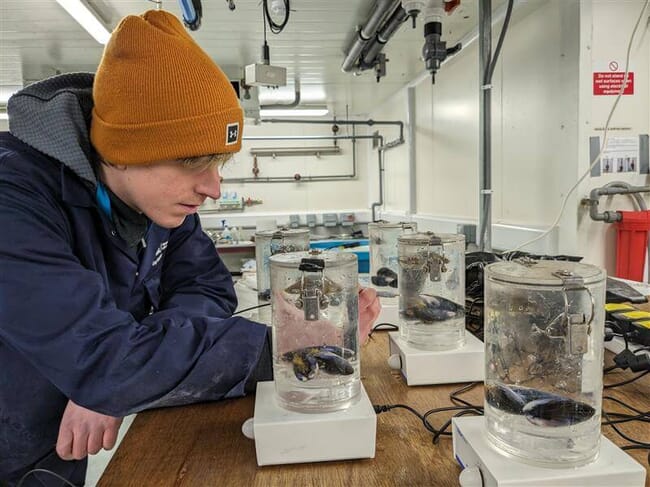 A scientist in a lab testing treated water on some mussels in a beaker.