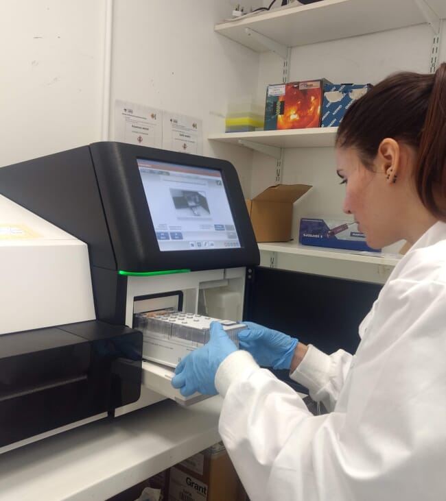 A scientist analysing fish feed samples in a laboratory.