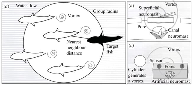 Schematic diagram summarising different study elements