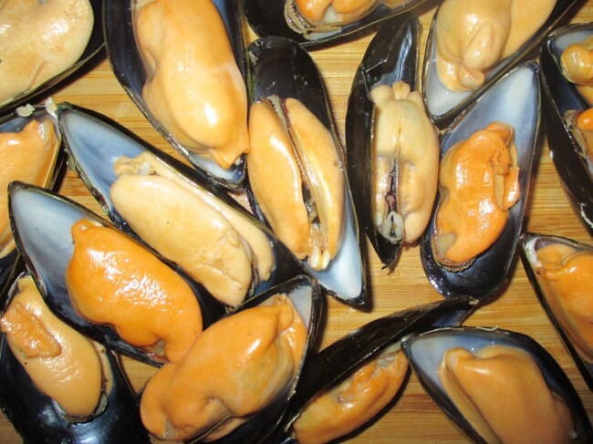 open mussels