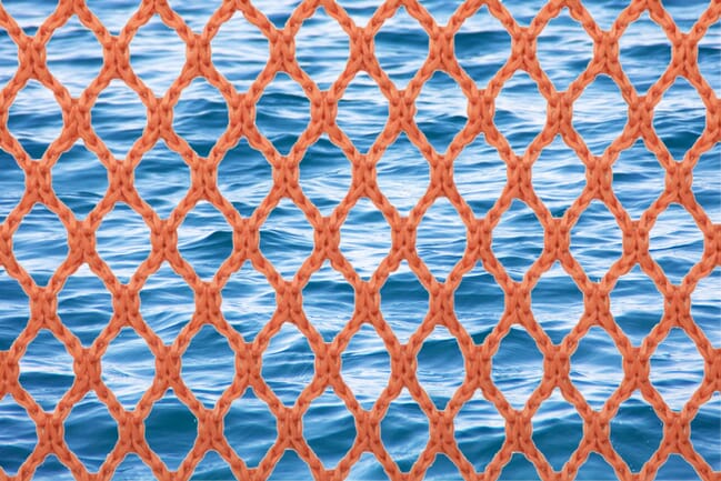 Innovators bring anti-fouling nets to Chile's aquaculture industry