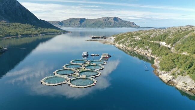 Aerial view of salmon farm