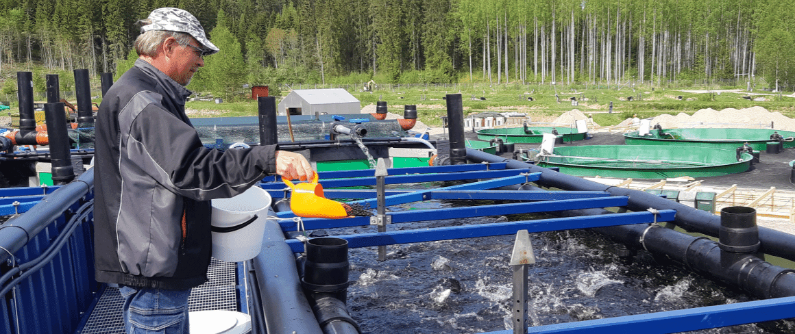 Commercial Fish Containers