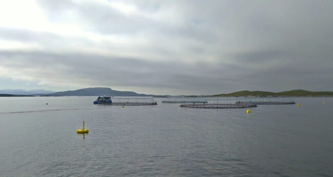 A photo of salmon farms in Norway on a cloudy day.