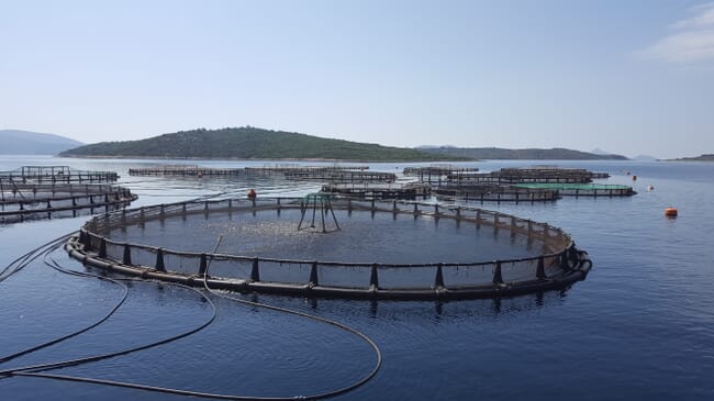 fish pens in the water