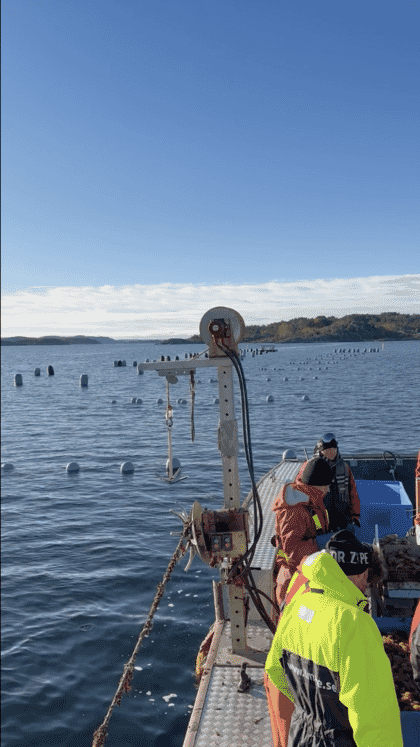 People on a boat inspecting a tunicate farm