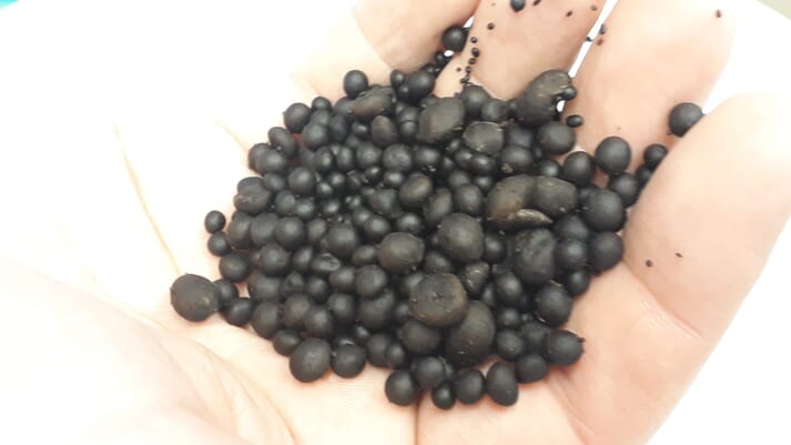 a handful of protein pellets
