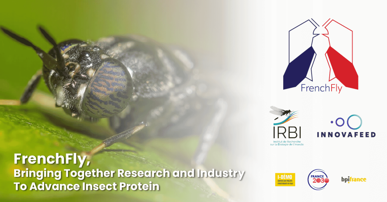 A closeup photo of a fly with company logos in the bottom left.