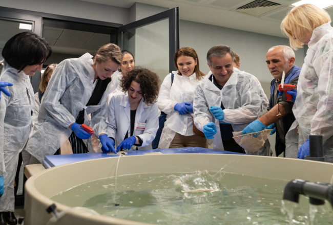 GFCM members at an aquaculture facility.