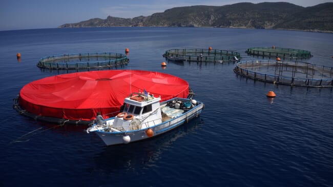 Un barco en la piscifactoría Lamar, en Grecia.