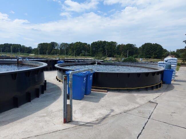 Lagoas de produção de bagres em terra na Hungria.