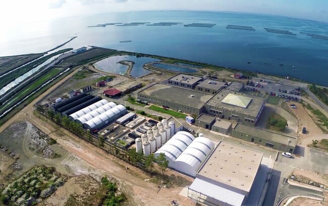 Aerial view of an aquaculture reasearch facility