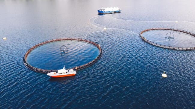 Aerial view of fish pens and workboats