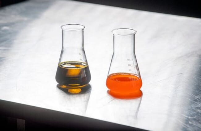 Two beakers of oil on a counter.