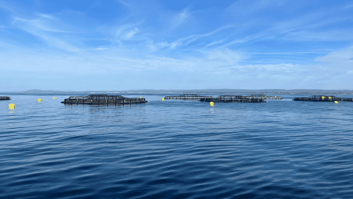A photo of aquaculture cages in the Atlantic ocean.