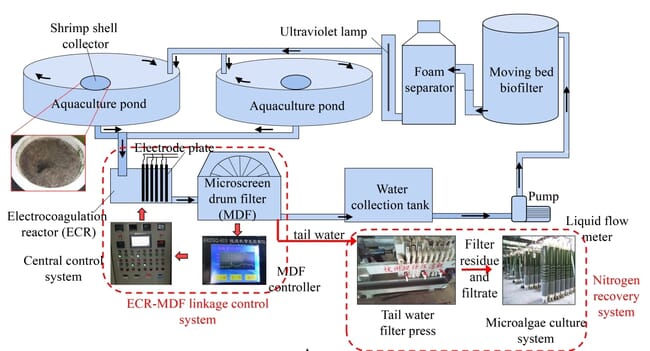 https://images.thefishsite.com/fish/articles/Europe/RAS-diagram-credit-IOCAS.jpg?width=650&height=0