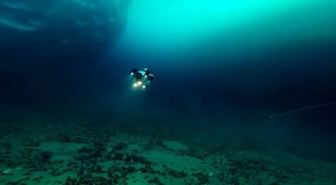 Researchers use ROV to identify seaweed in the depths around Antarctica ...