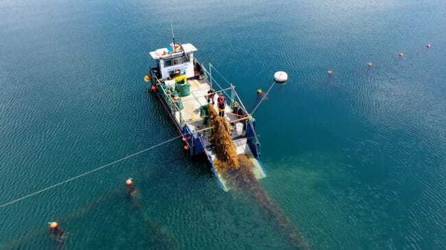 Uma embarcação no oceano colhendo algas marinhas da fazenda experimental de algas SAMS na Ilha de Lismore, Escócia.