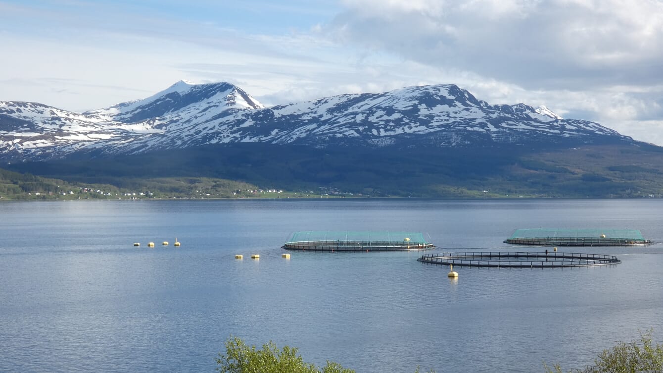 An Atlantic salmon farm in a fjord on a sunny day.