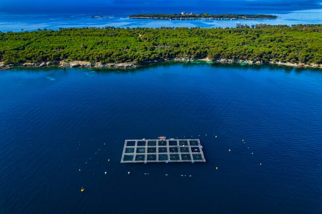 An aerial view of square fish cages.