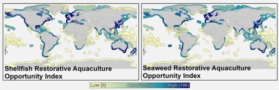 Why the North Sea needs more aquaculture | The Fish Site