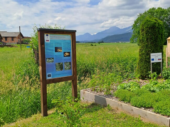 Biodiversity garden at Vodomec farms.