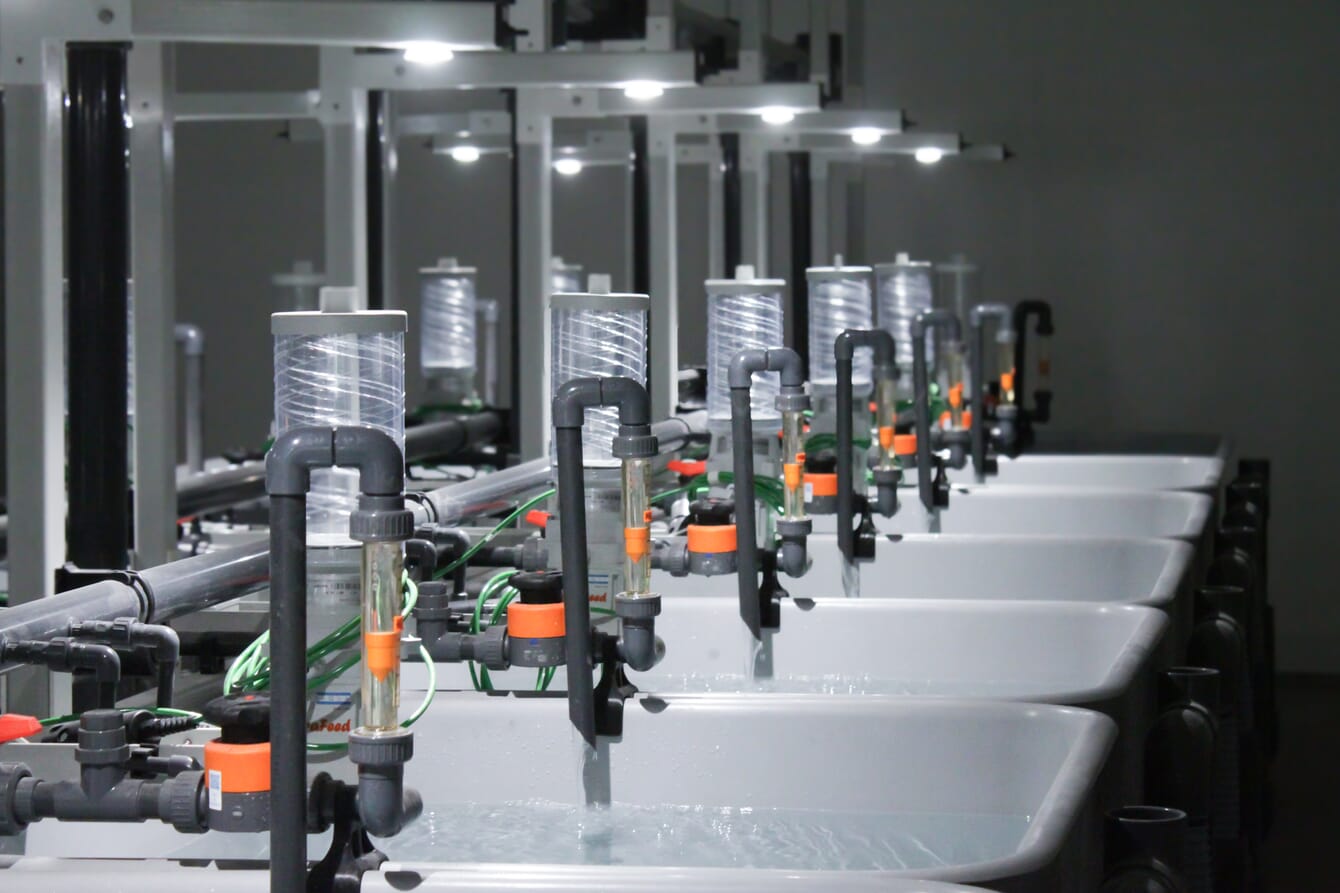 The interior of a aquaculture RAS facility with tanks and qutomatic feeders.