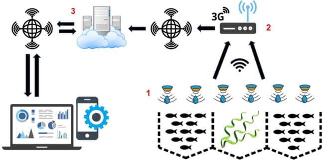 digital aquaculture infographic