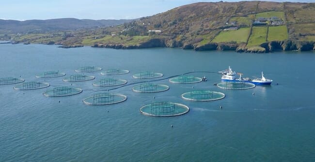 An aerial view of an Atlantic salmon farm in Ireland on a sunny day.
