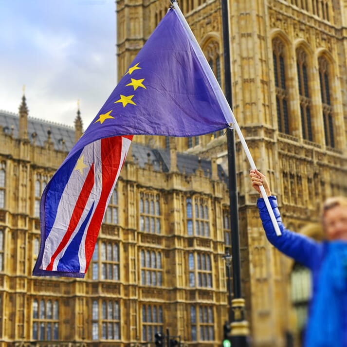 protester waiving the EU and UK flags