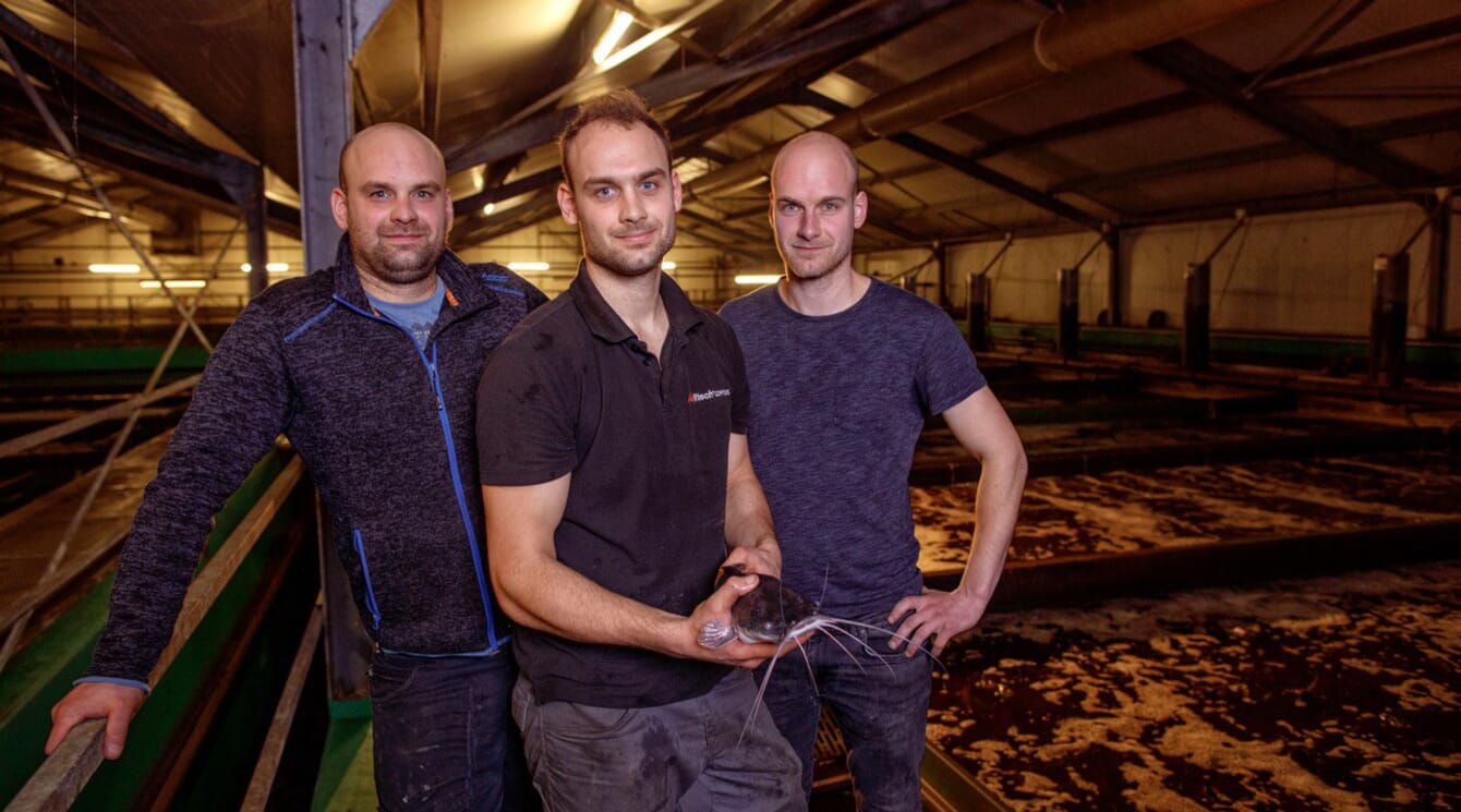 Three people standing in an indoor catfish RAS facility