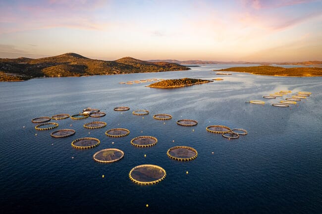 Aerial view of a fish farm.