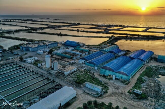 Areal view of the main facilities and ponds operated by Dagón