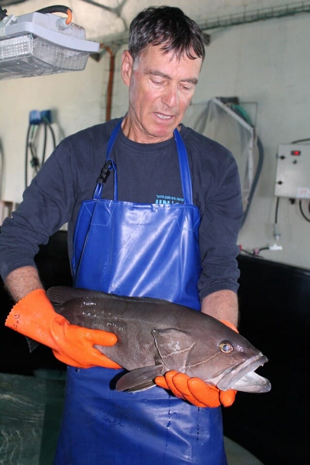 Person holding a white grouper