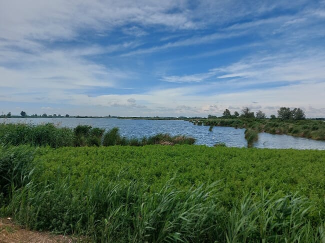 Um típico lago de peixes húngaro, cercado de vegetação.