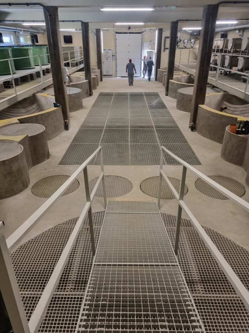 Raising investment for Europe’s largest catfish farm The Fish Site